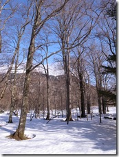 R0013049